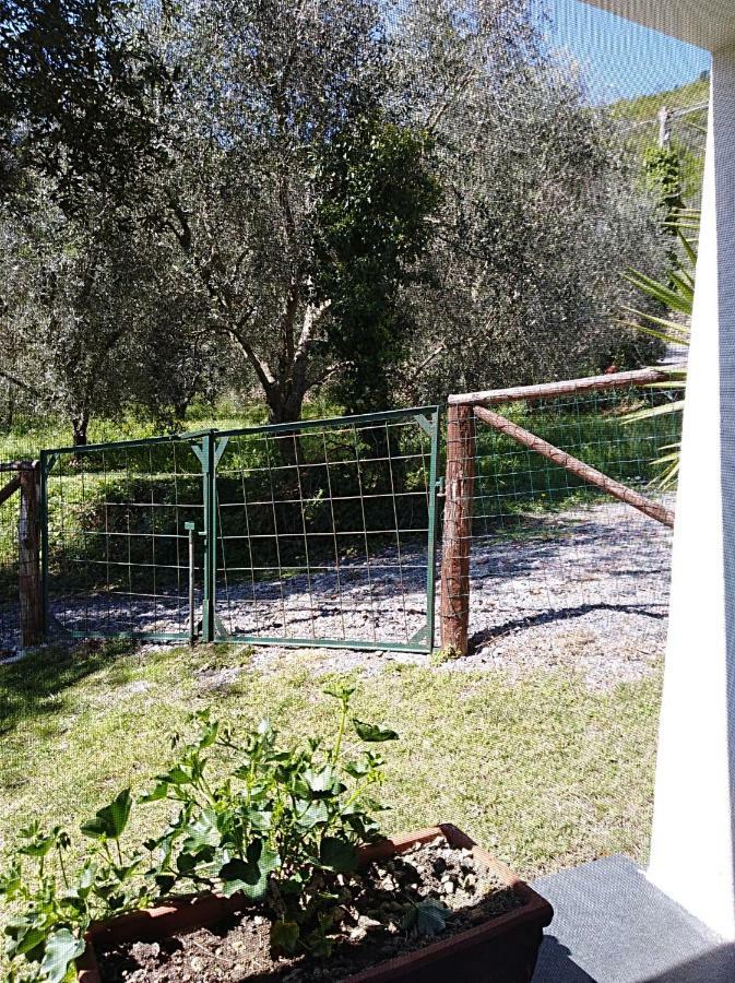Ca' Do Diao Villa Onzo Exterior foto